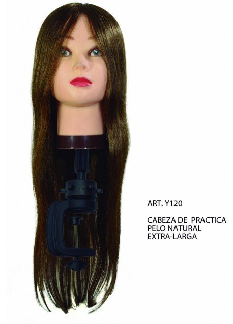 CABEZA DE PRACTICA PELO NATURAL XL C/SOPORTE